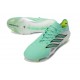 Chaussure adidas Predator Elite FG Vert Argent