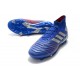 Chaussure adidas Predator 19.1 FG Homme - Bleu Argent