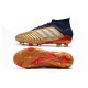 Chaussure adidas Predator 19.1 FG Homme - Or Rouge Argent