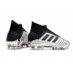 adidas Crampons de Foot Predator 19+ FG Argent Noir